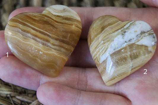 Honingcalciet Hartjes