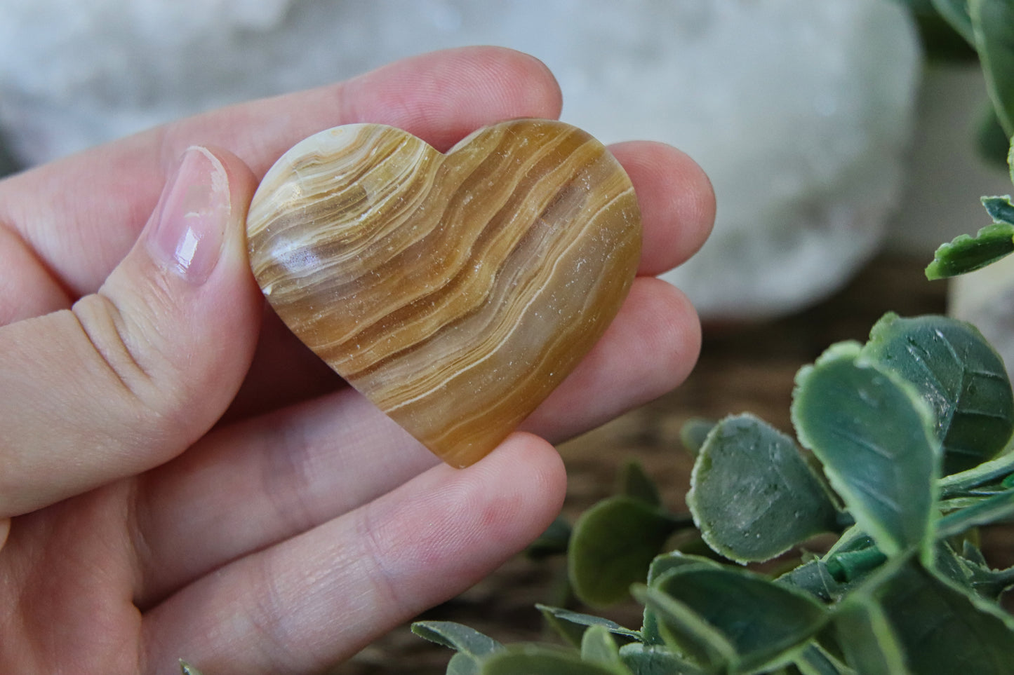 Honingcalciet Hartjes