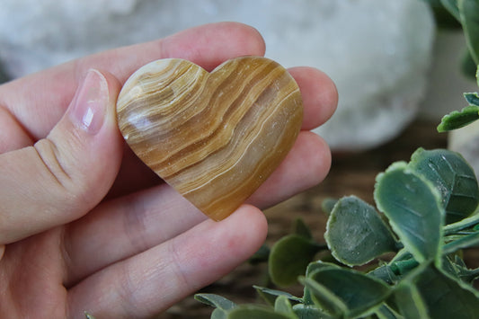 Honingcalciet Hartjes