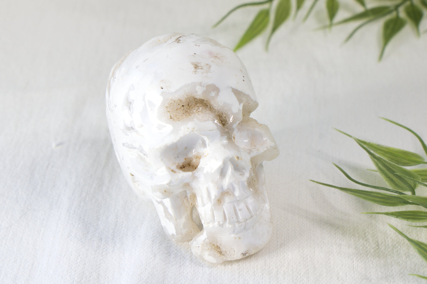 Witte Pluim Agaat Skull