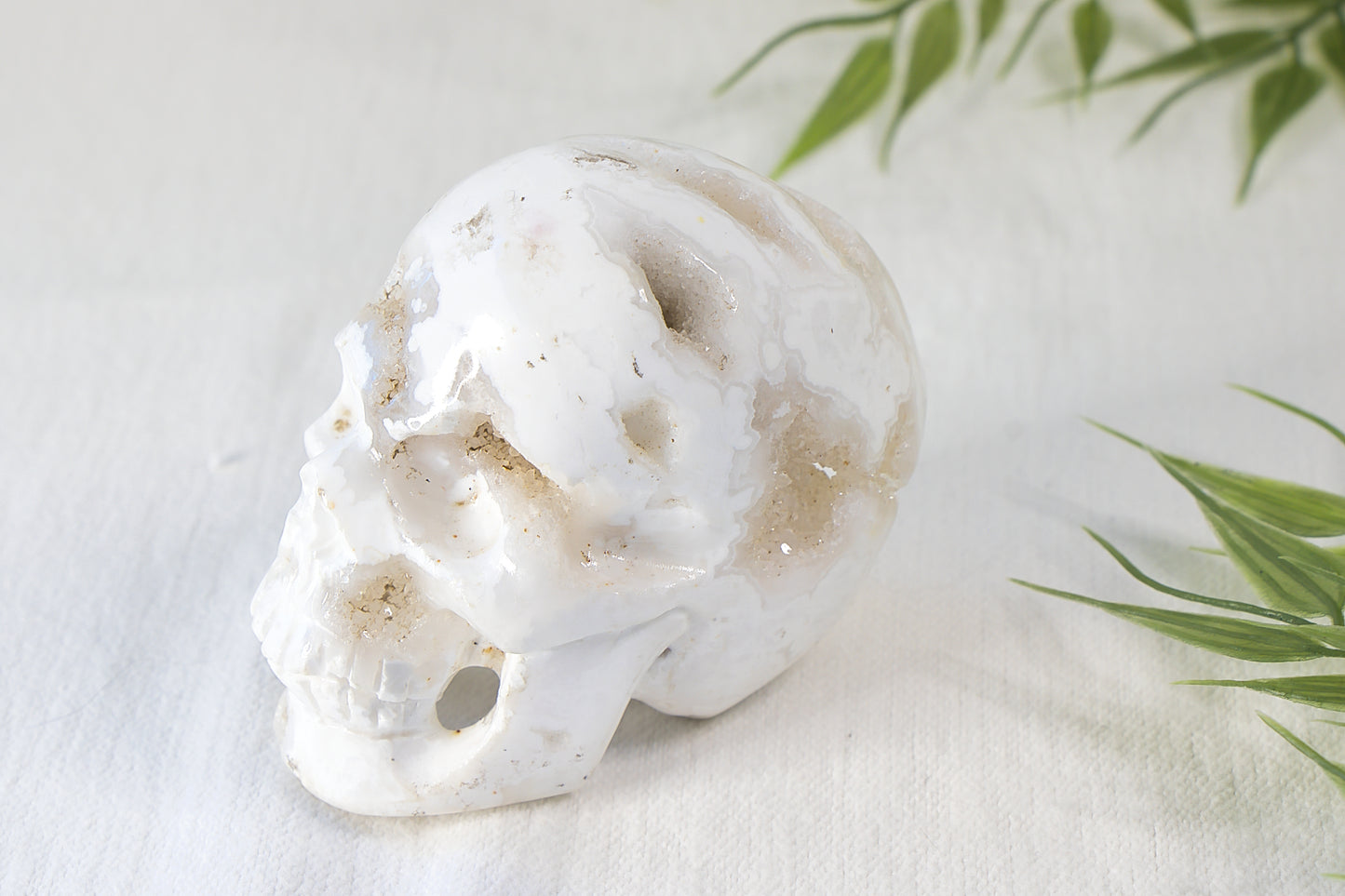 Witte Pluim Agaat Skull