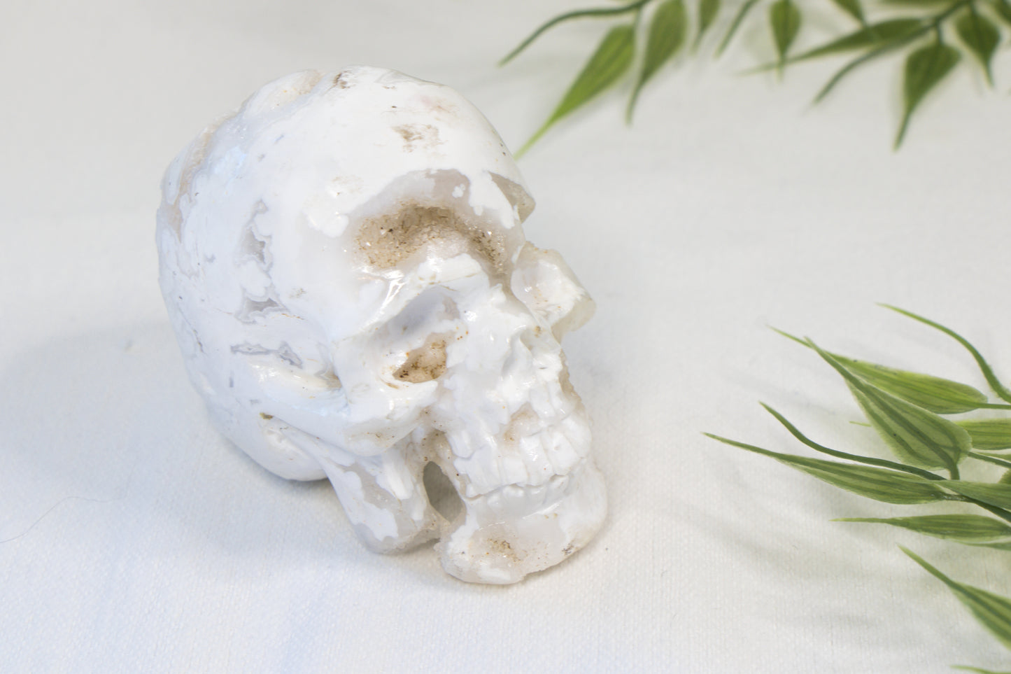 Witte Pluim Agaat Skull