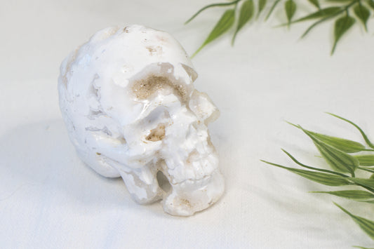 Witte Pluim Agaat Skull