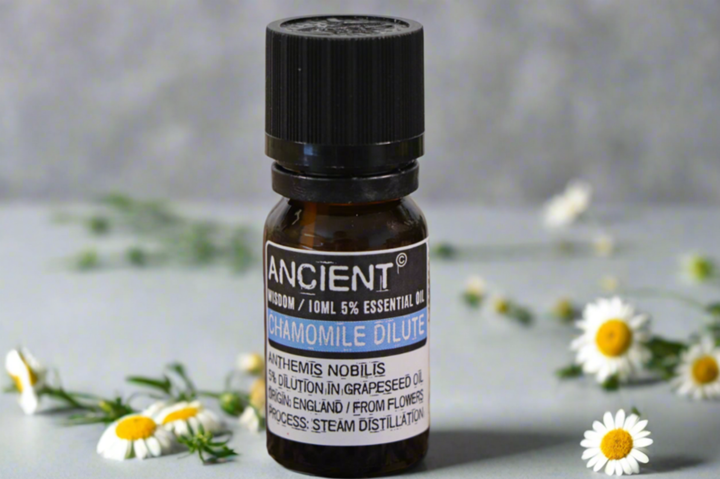 Kamille Verdunde Etherische Olie - 10ml