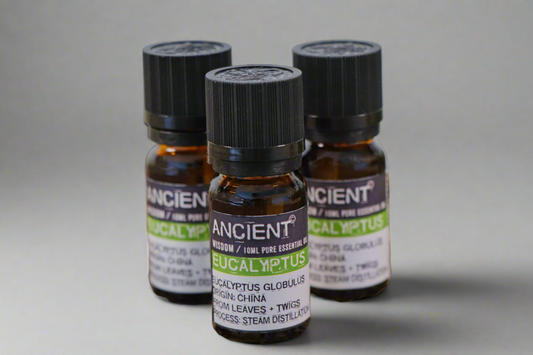 Eucalyptus Etherische Olie - 10ml