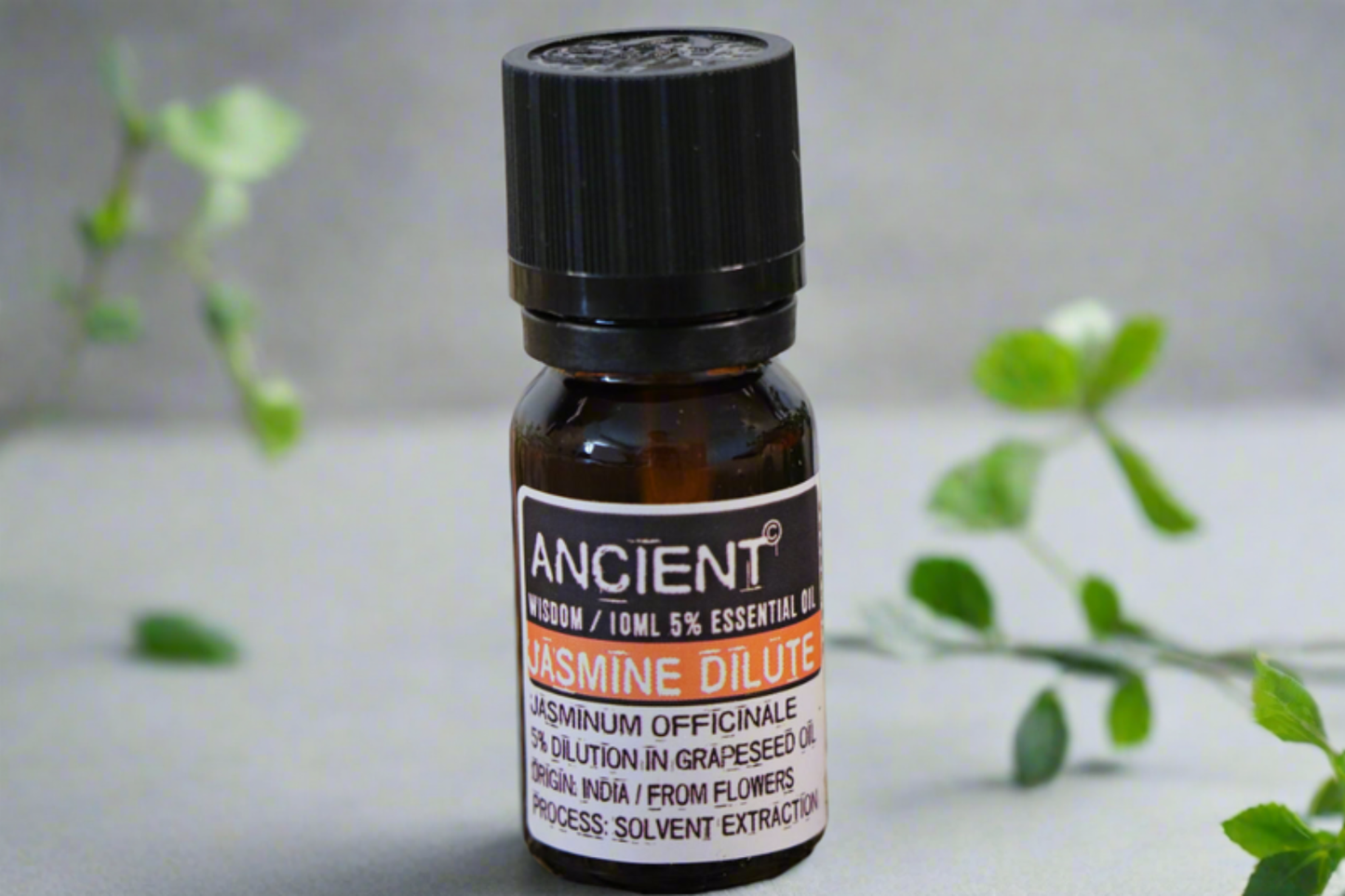 Jasmijn Verdunde Etherische Olie - 10ml