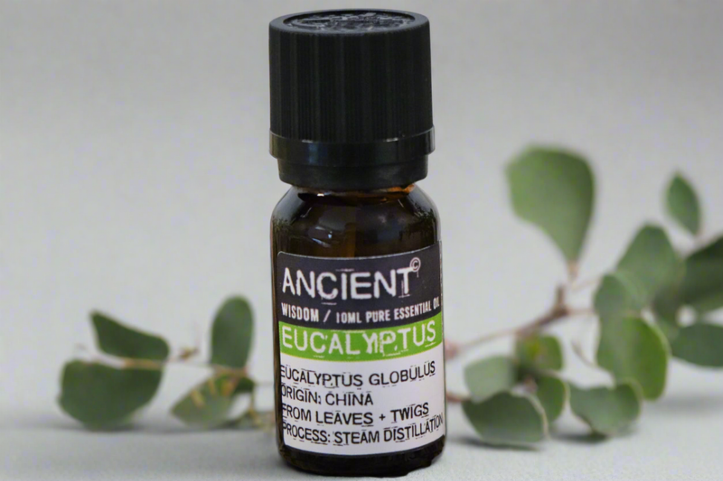 Eucalyptus Etherische Olie - 10ml