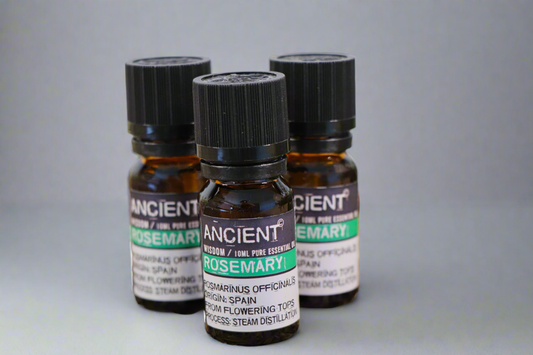 Rozemarijn Etherische Olie - 10ml