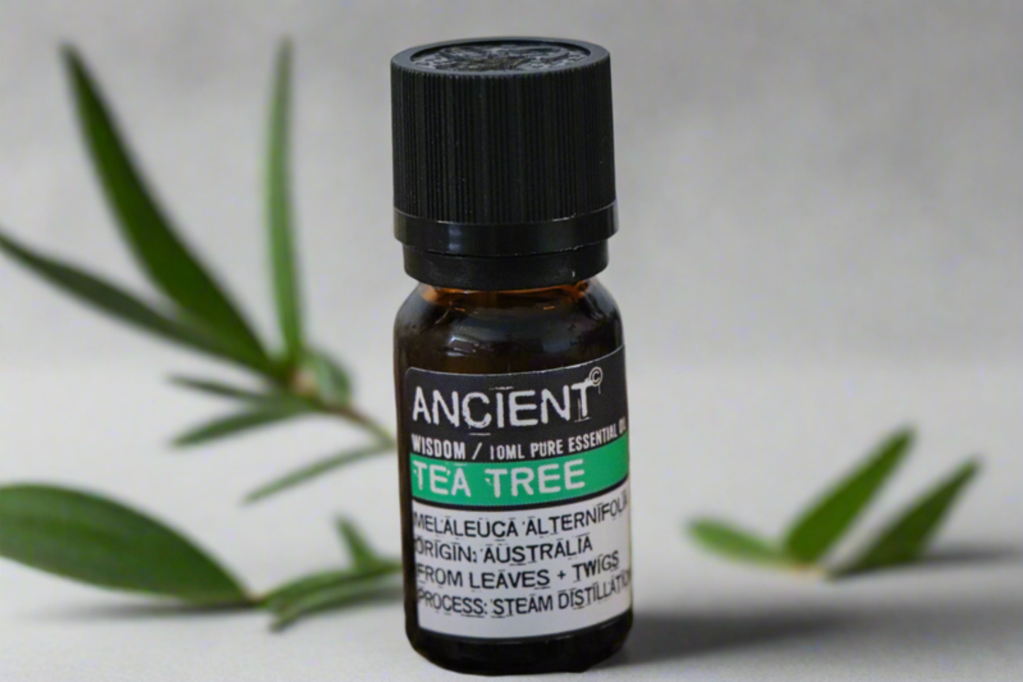 Theeboom Etherische Olie - 10ml