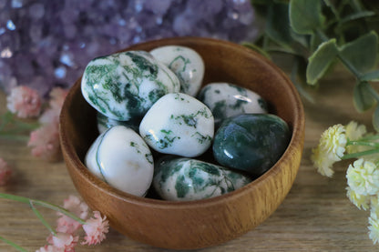 Tree Agate Tumbled Stone