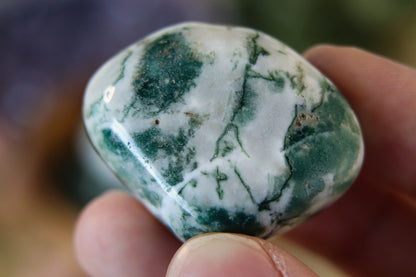 Tree Agate Tumbled Stone