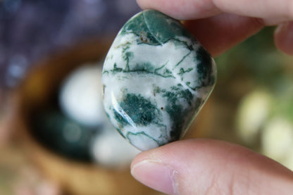 Tree Agate Tumbled Stone